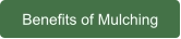 Benefits of Mulching