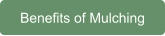 Benefits of Mulching